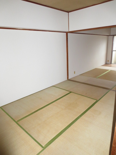 Living and room. Japanese style room