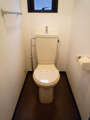 Toilet. Toilet