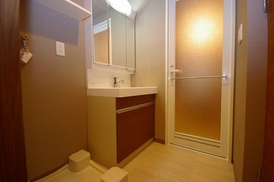 Washroom. Shampoo dresser