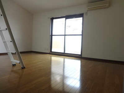 Living and room. Interior