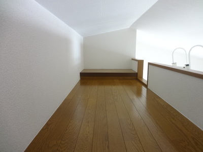 Living and room. loft