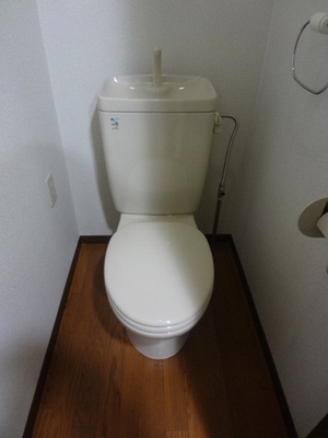 Toilet. Toilet
