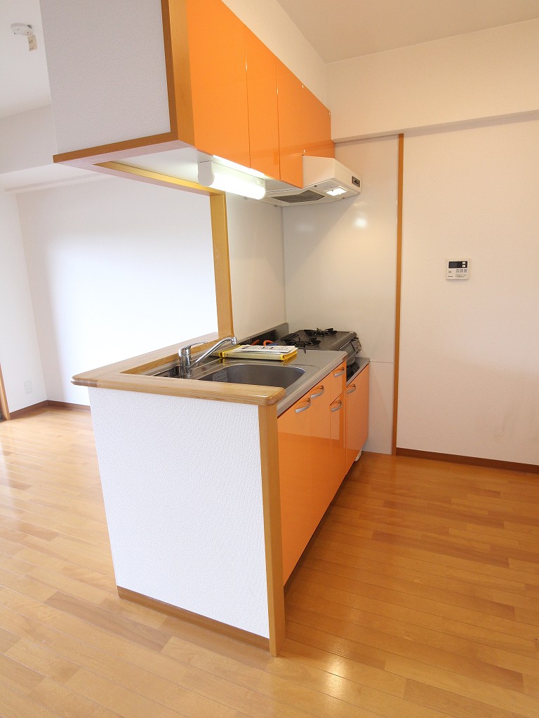 Kitchen. Another Room No. reference photograph Initial cost split and credit settlement possible consultation.