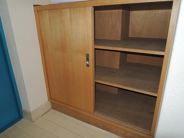 Other. There are shoes BOX