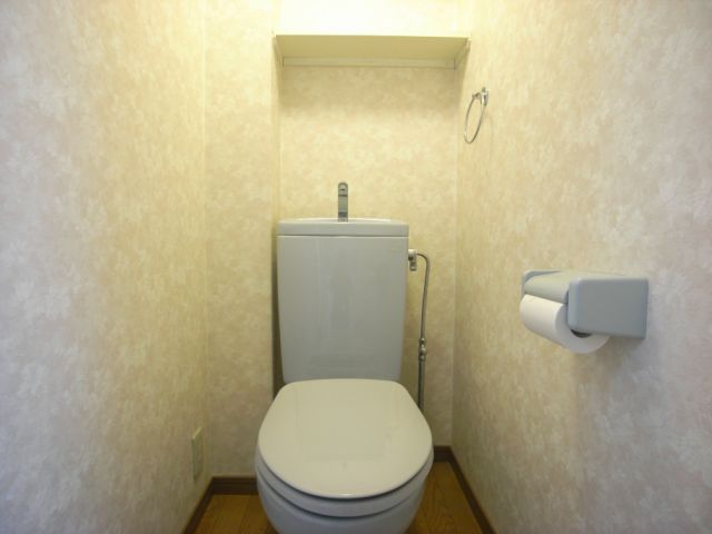 Toilet. Toilet