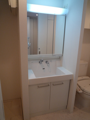 Washroom. Wash basin