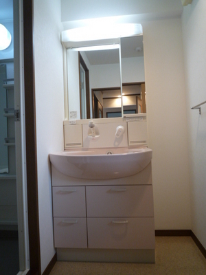 Washroom. Wash basin (isomorphic type)