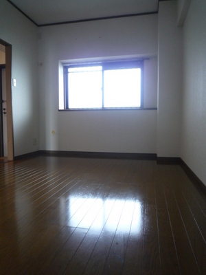 Living and room. Western-style (isomorphic type)