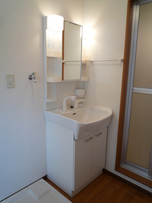 Washroom. Wash basin