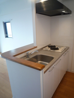 Kitchen. System kitchen