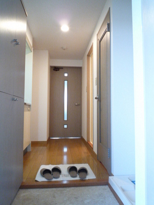 Entrance. Entrance hall