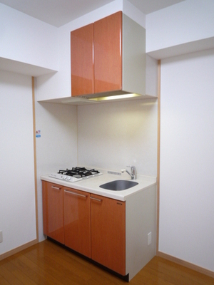 Kitchen. System kitchen