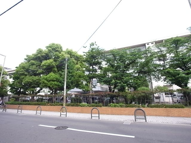 Junior high school. Municipal Higashi Sumiyoshi until junior high school (junior high school) 770m