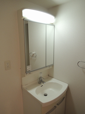 Washroom. Wash basin