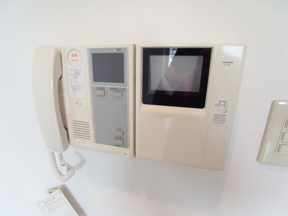 Security. TV monitor phone