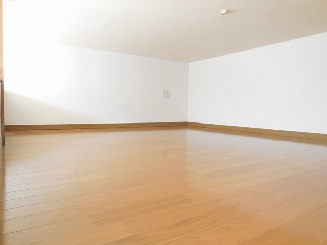 Living and room. Infiltrate into the internal loft