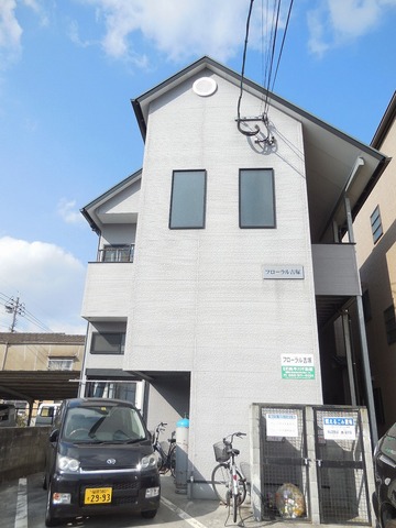 Other. Appearance Photo 2