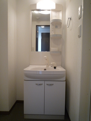 Washroom. Wash basin