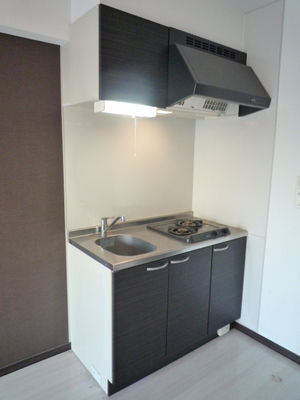 Kitchen. System kitchen