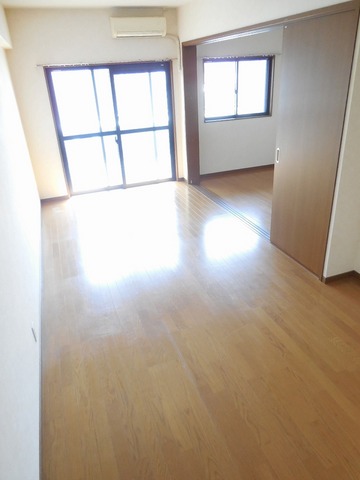 Living and room. Bright room