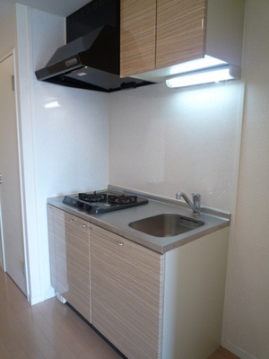 Kitchen. System kitchen