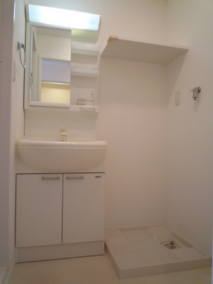 Washroom. Wash basin