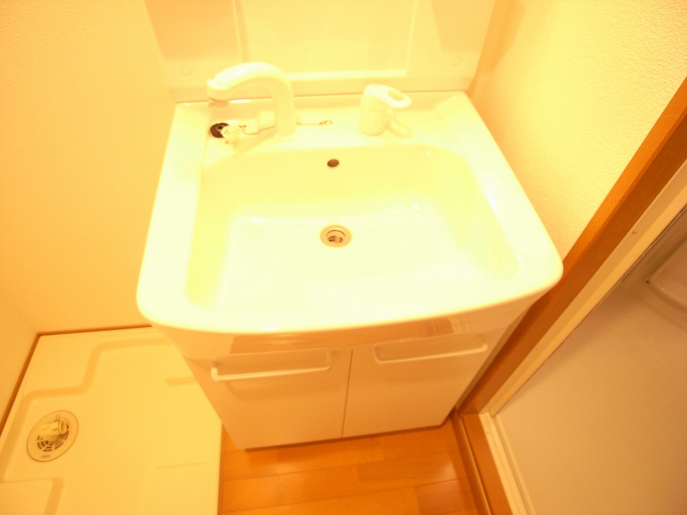 Washroom. Shampoo dresser