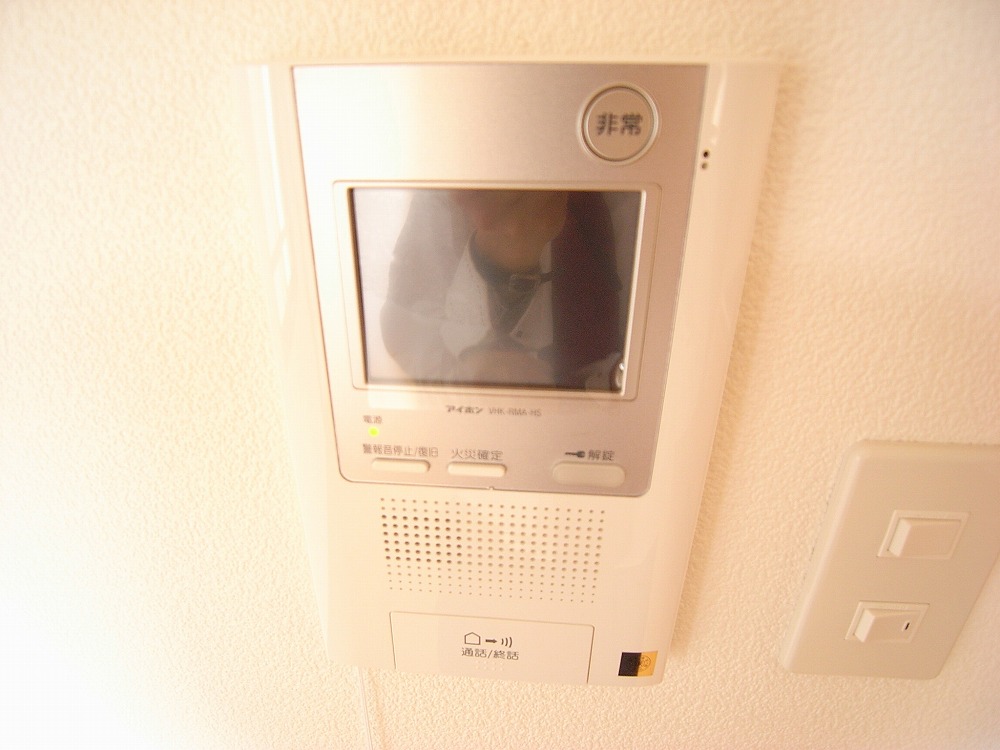 Security. TV monitor phone