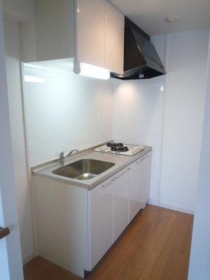 Kitchen. System kitchen