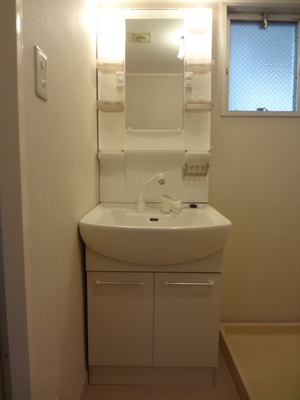 Washroom. Wash basin