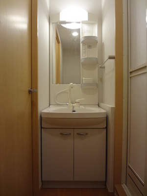 Washroom. Shampoo dresser