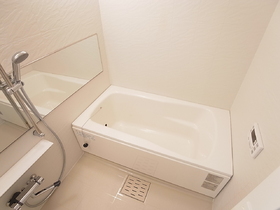 Bath. Bathroom Reheating function of spread