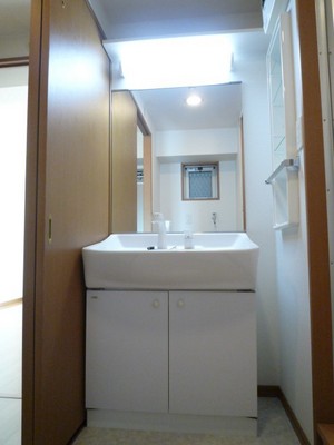 Washroom. Wash basin