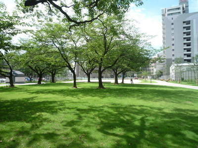 Building appearance. Park in front of the eyes