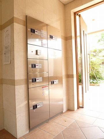 Entrance. Delivery Box