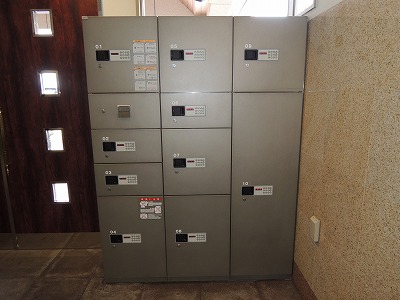 Entrance. Delivery Box