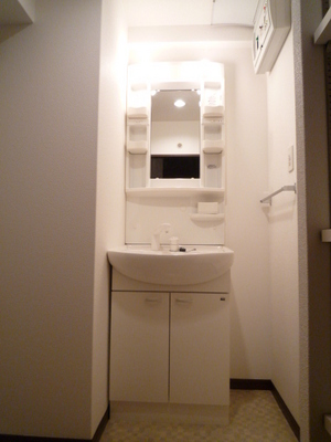 Washroom. Wash basin