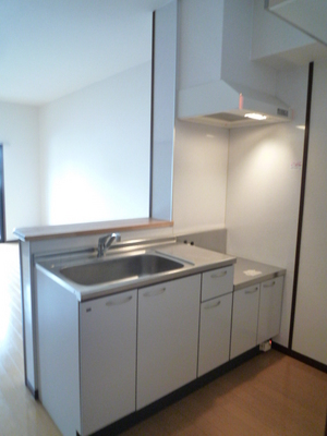 Kitchen. Counter Kitchen