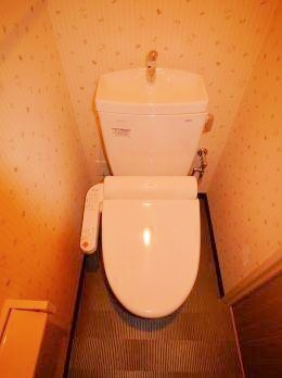 Toilet. Bidet
