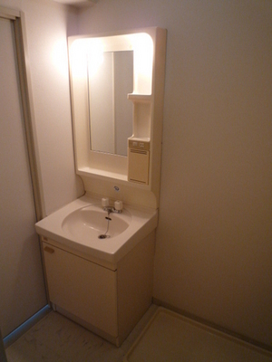 Washroom. Wash basin