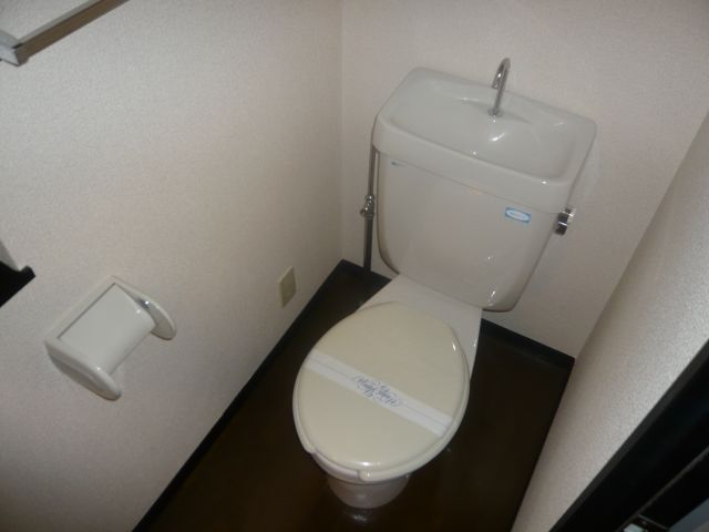 Toilet. Toilet
