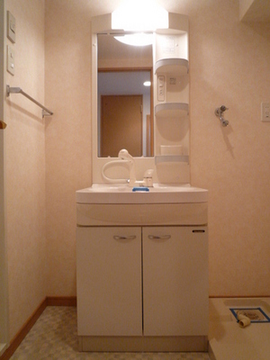 Washroom. Wash basin