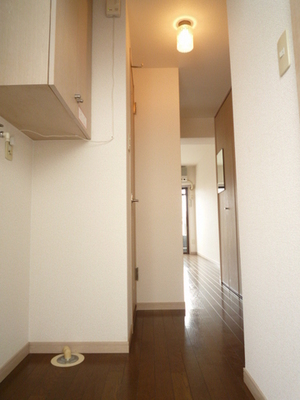 Entrance. Washing machine in the room