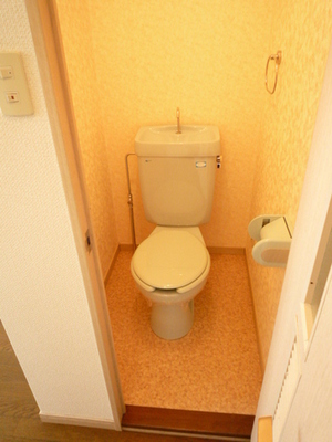 Toilet. Toilet