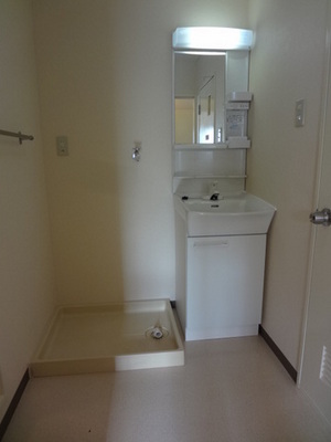 Washroom. Wash basin