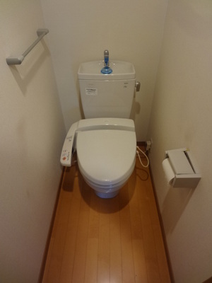 Toilet. Bidet shower toilet