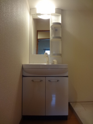 Washroom. Wash basin