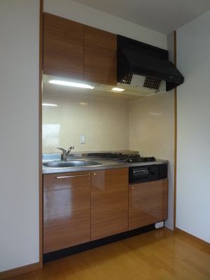 Kitchen. System kitchen