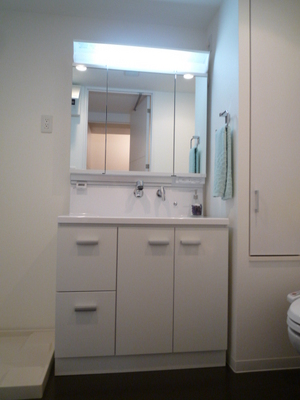 Washroom. Wash basin