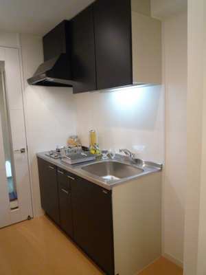 Kitchen. System kitchen